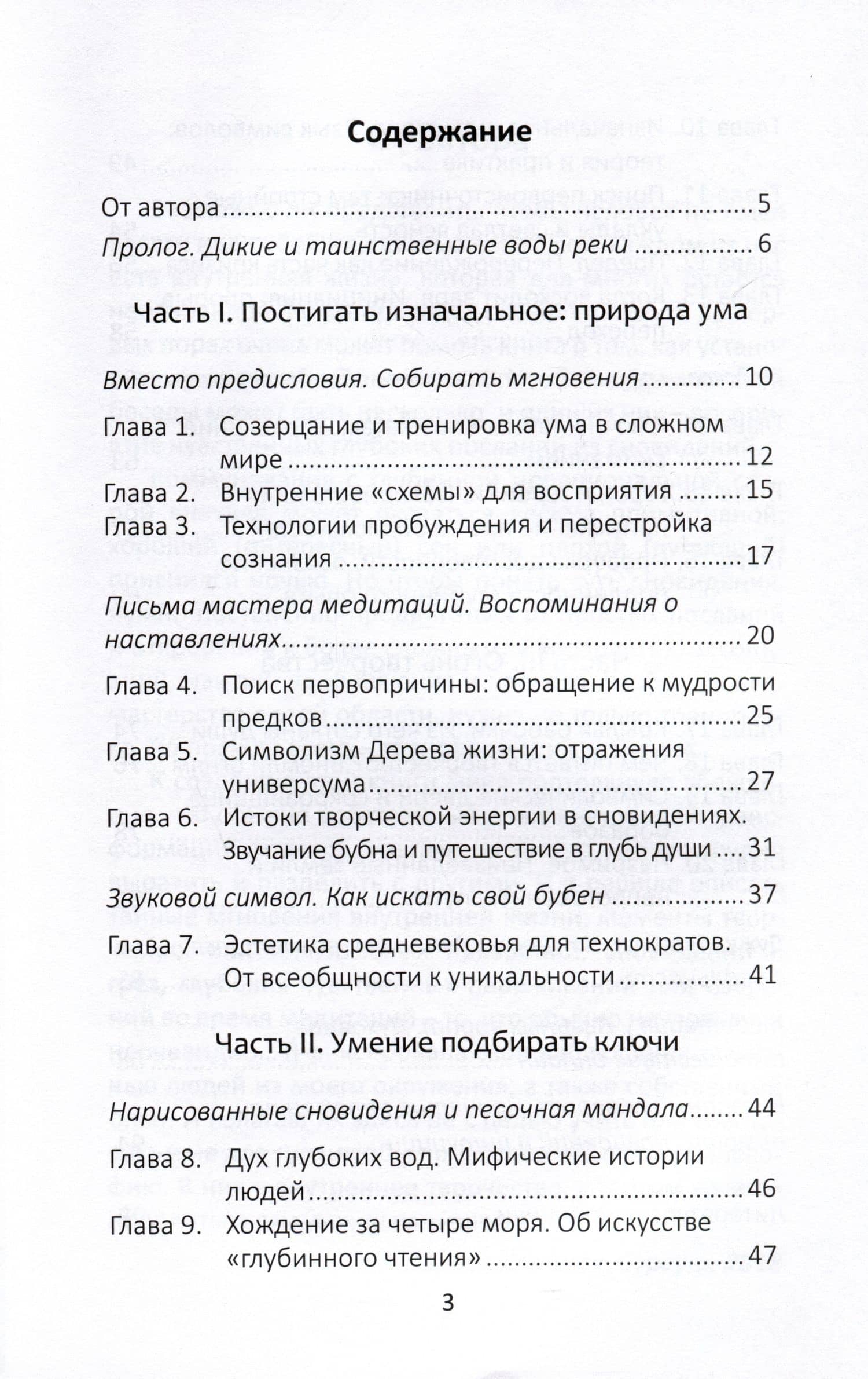 Дикая река. Творчество и духовный поиск: вдохновение в созерцании и сновидениях — Лариса Славная (2)