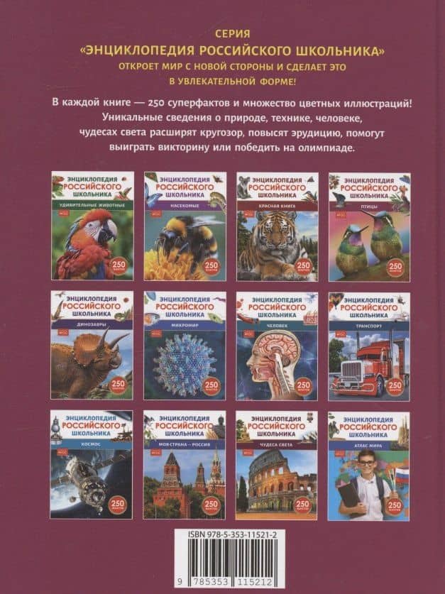 Птицы. Энциклопедия российского школьника — Петр Михайлович Волцит (2)