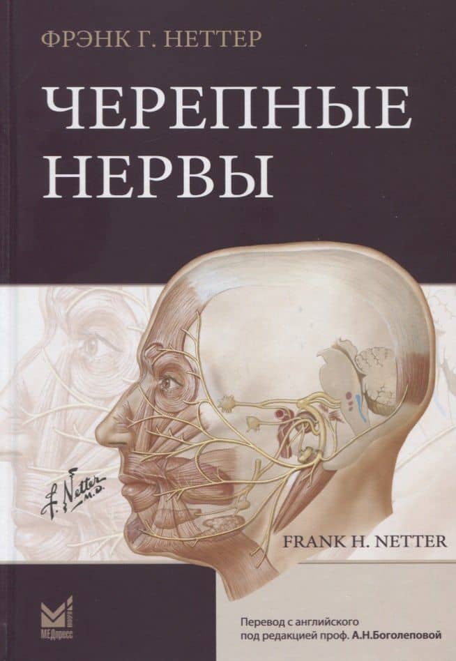 Черепные нервы — Фрэнк Генри Неттер