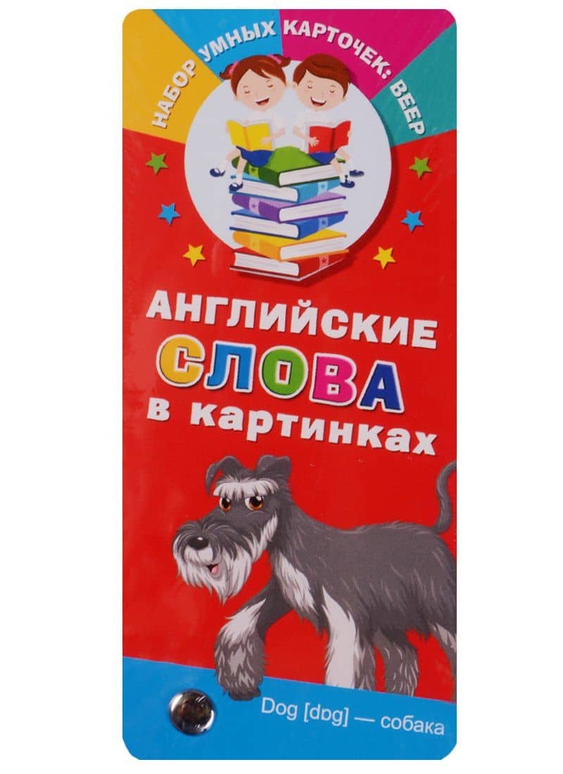 Английские слова в картинках