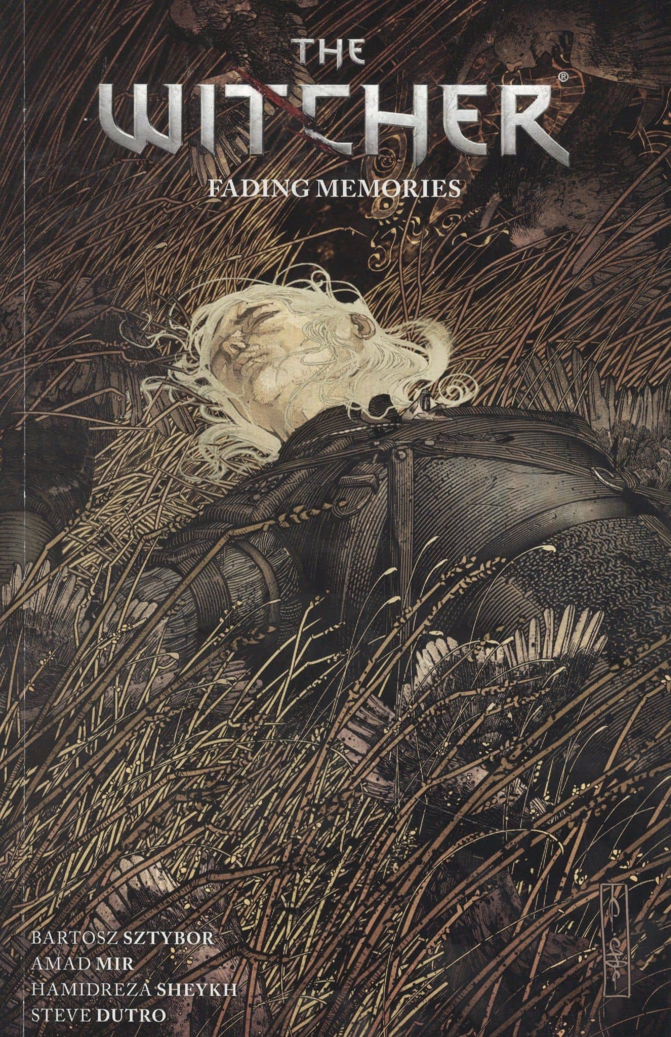 The Witcher Volume 5: Fading Memories