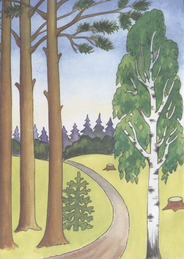 Посмотри и раскрась. Первые уроки. Лето — Ирина Баранова (2)