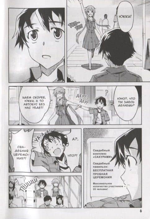 Дневник будущего. Том 5 (Mirai Nikki / Future Diary). Манга — Эсуно Сакаэ (3)