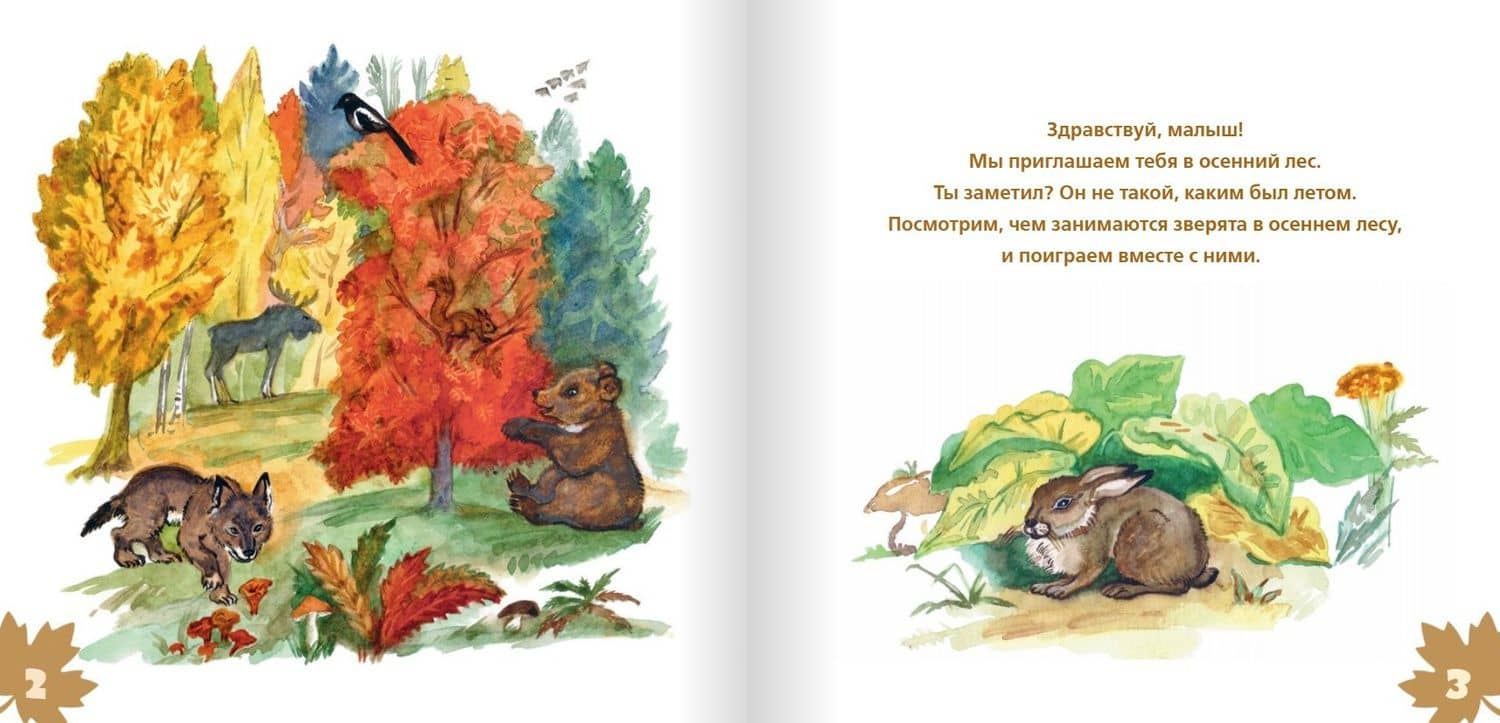Лесные истории. Осень (2)
