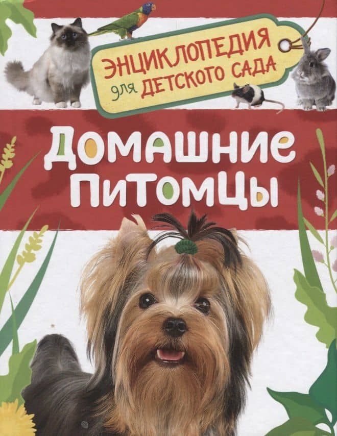 Домашние питомцы. Энциклопедия для детского сада