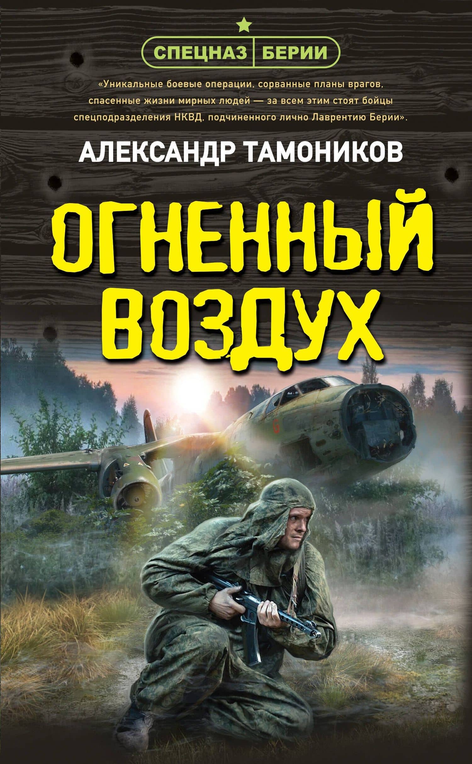 Огненный воздух — Александр Тамоников