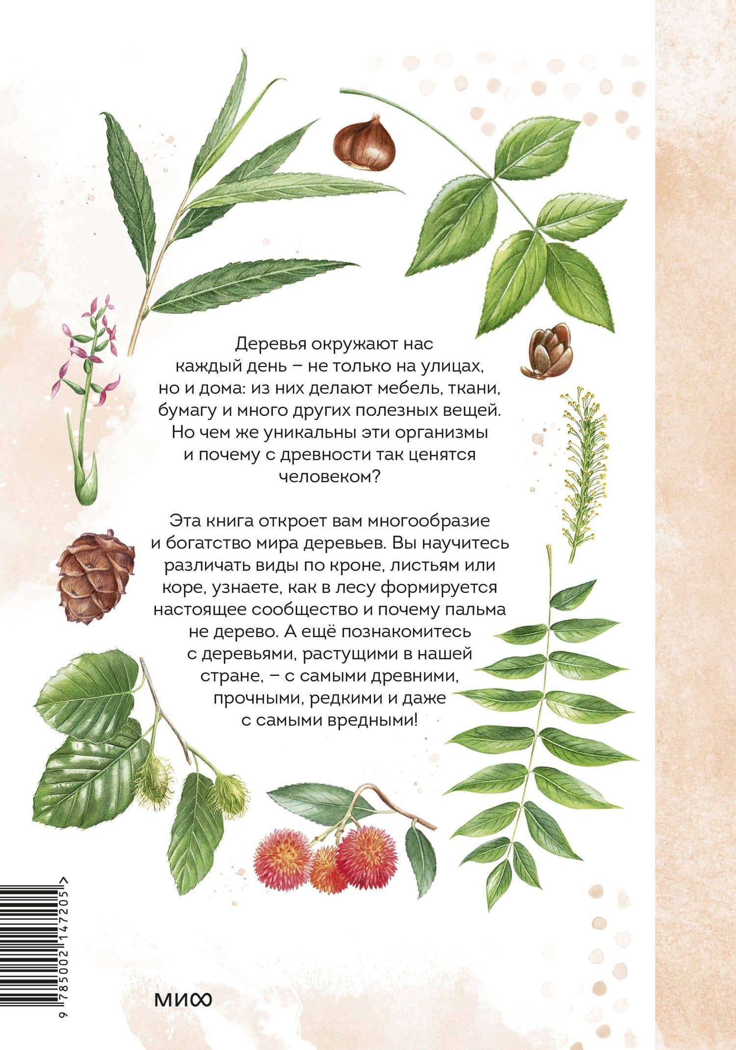 Деревья. Атлас-определитель — Алексей Бондарев (2)