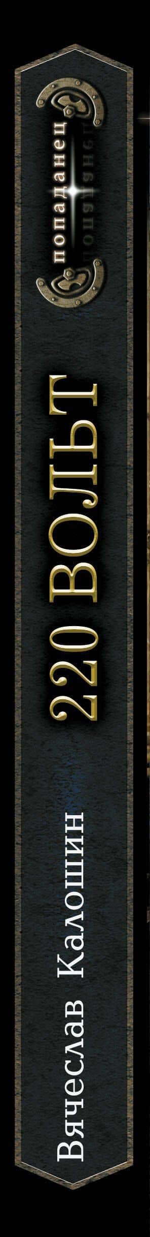 220 вольт — Вячеслав Калошин (3)