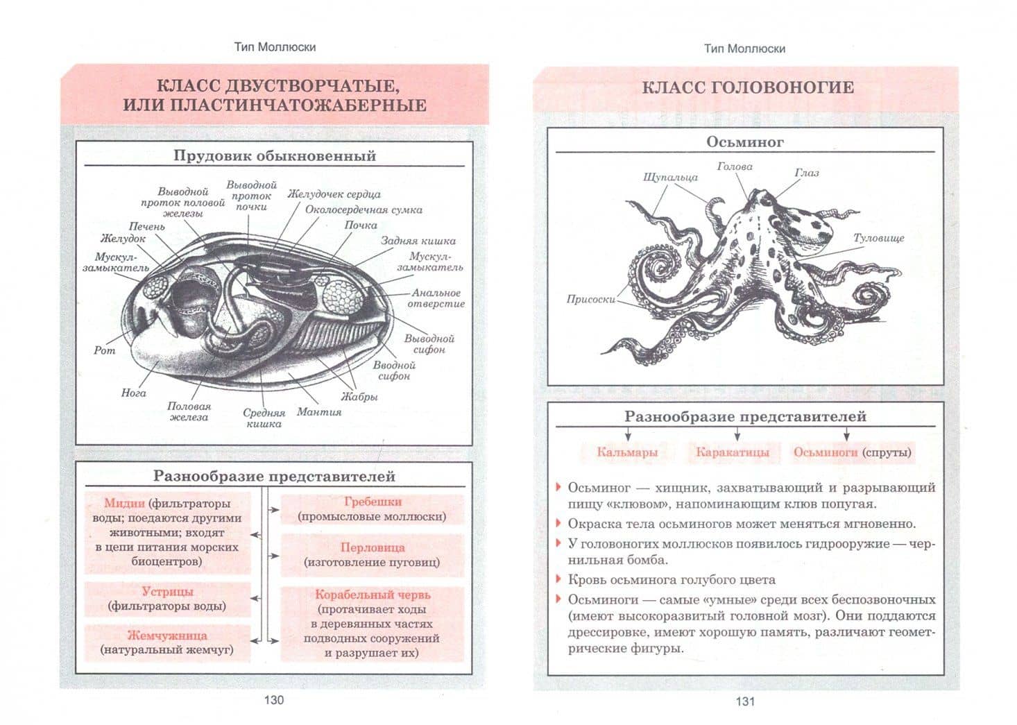 Биология. Весь школьный курс в таблицах (3)