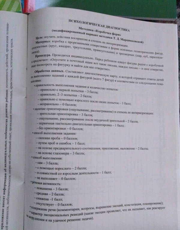 Комплексная оценка динамики развития ребенка и его индивидуальных образовательных достиж. ФГОС ДО — Юлия Александровна Афонькина (3)