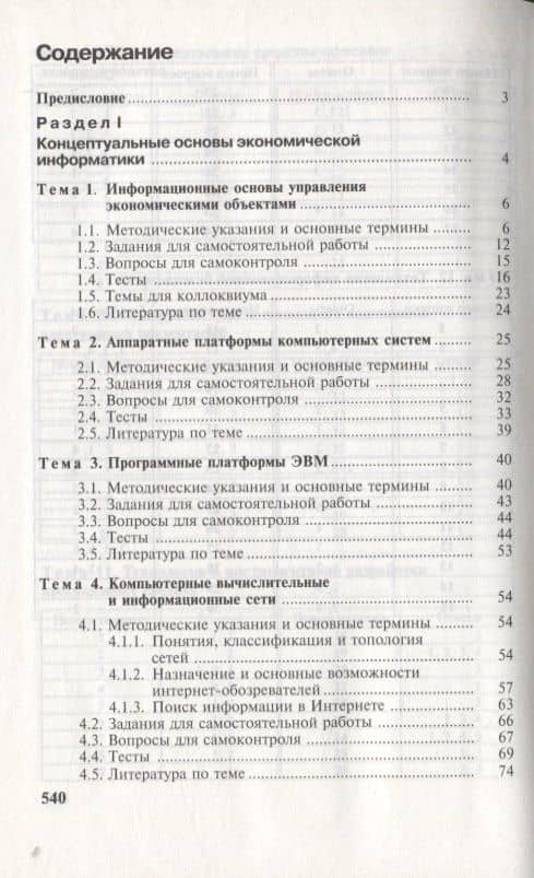 Информатика практикум для экономистов (Косарев) (2)