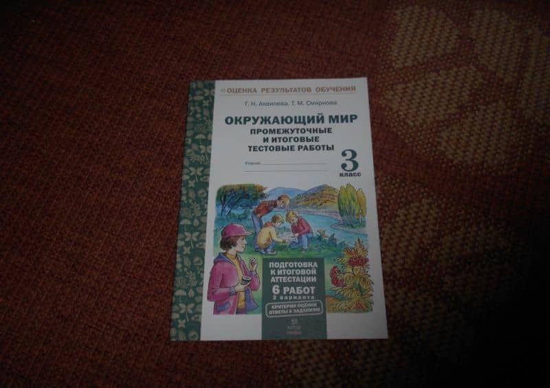Окружающий мир. 3 класс. Промежуточные и итоговые тестовые работы. ФГОС — Татьяна Михайловна Смирнова (3)