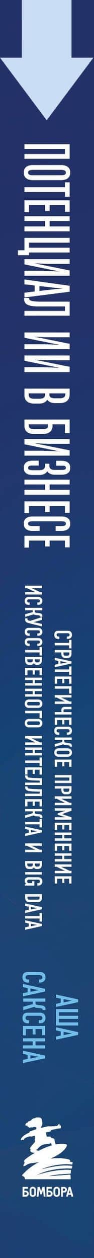 Потенциал ИИ в бизнесе. Стратегическое применение искусственного интеллекта и Big Data — Аша Саксена (3)