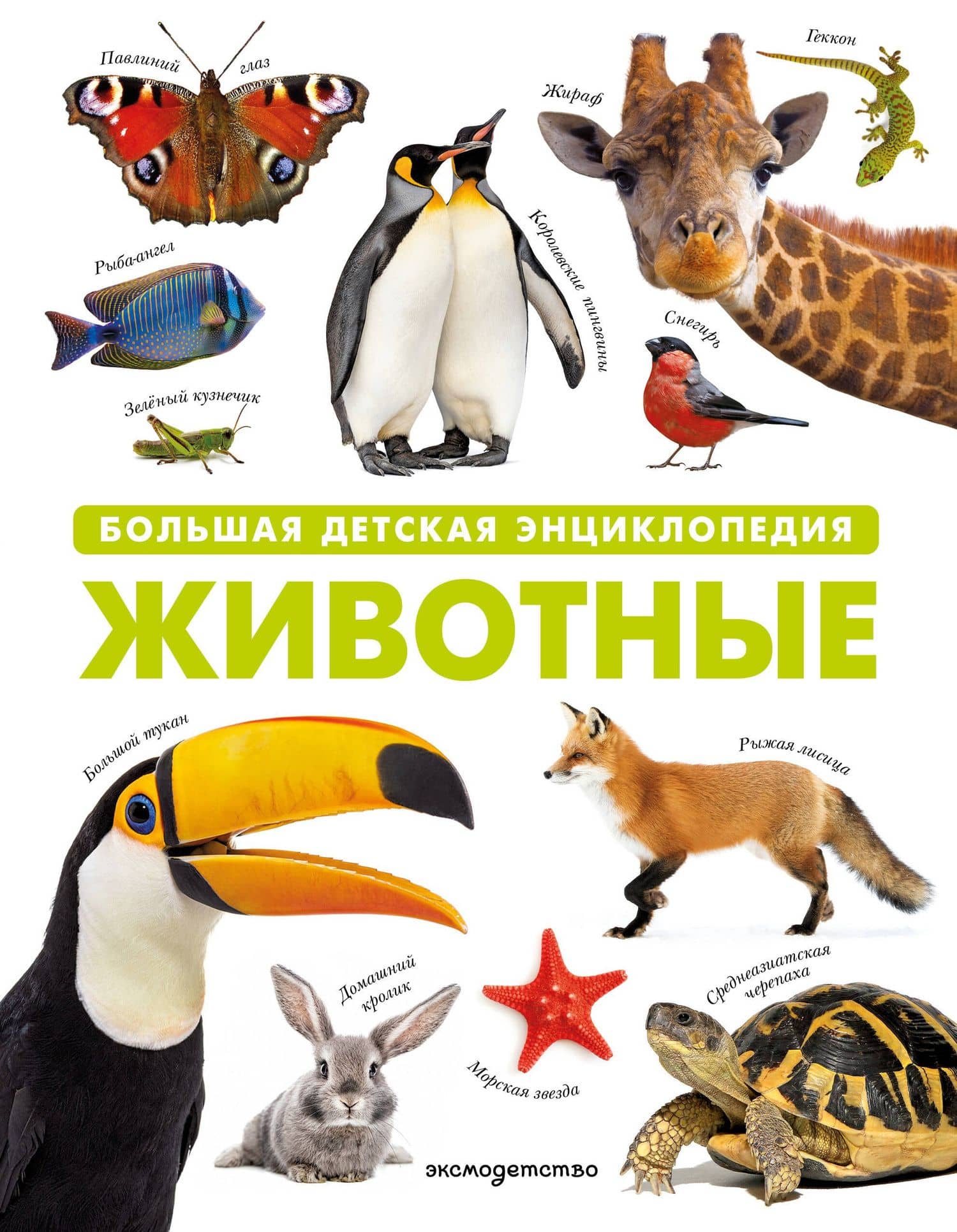 Животные. Большая детская энциклопедия