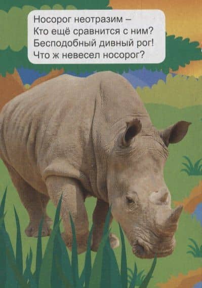 Экзотические животные (2)