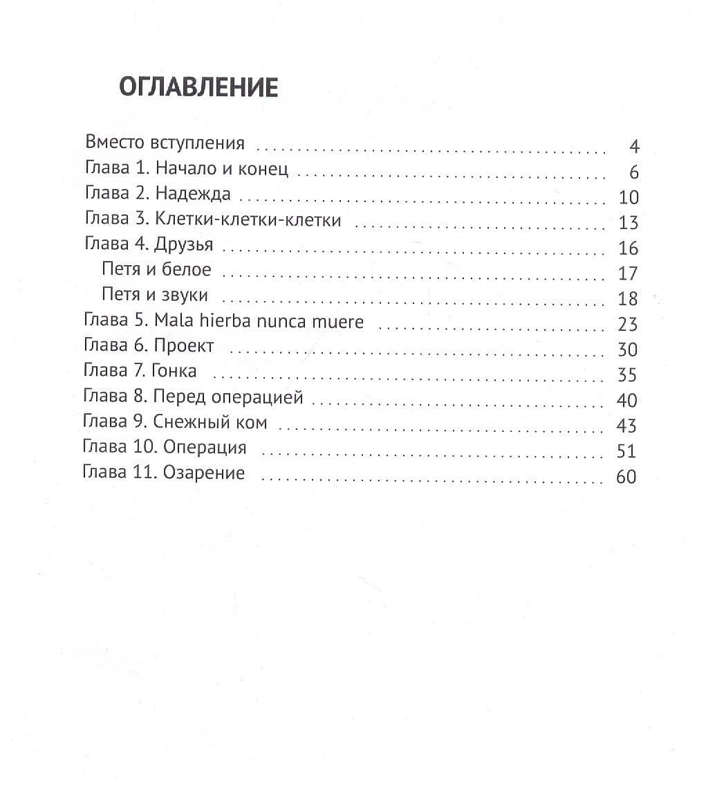Паренек. Документальная повесть — Владимир Анатольевич Хомичук (2)