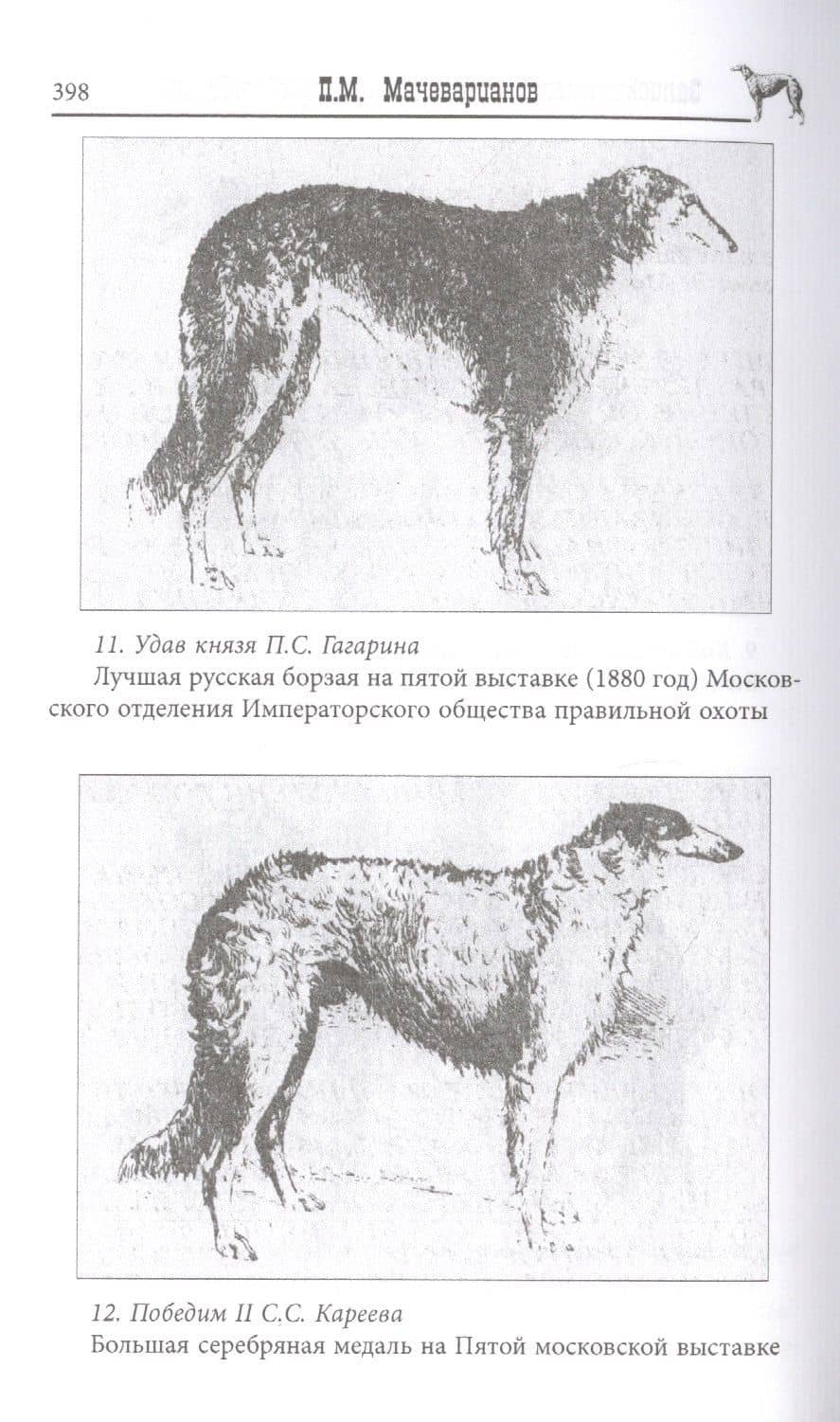 Записки псового охотника — Аркадий Сергеевич Вышеславцев (3)