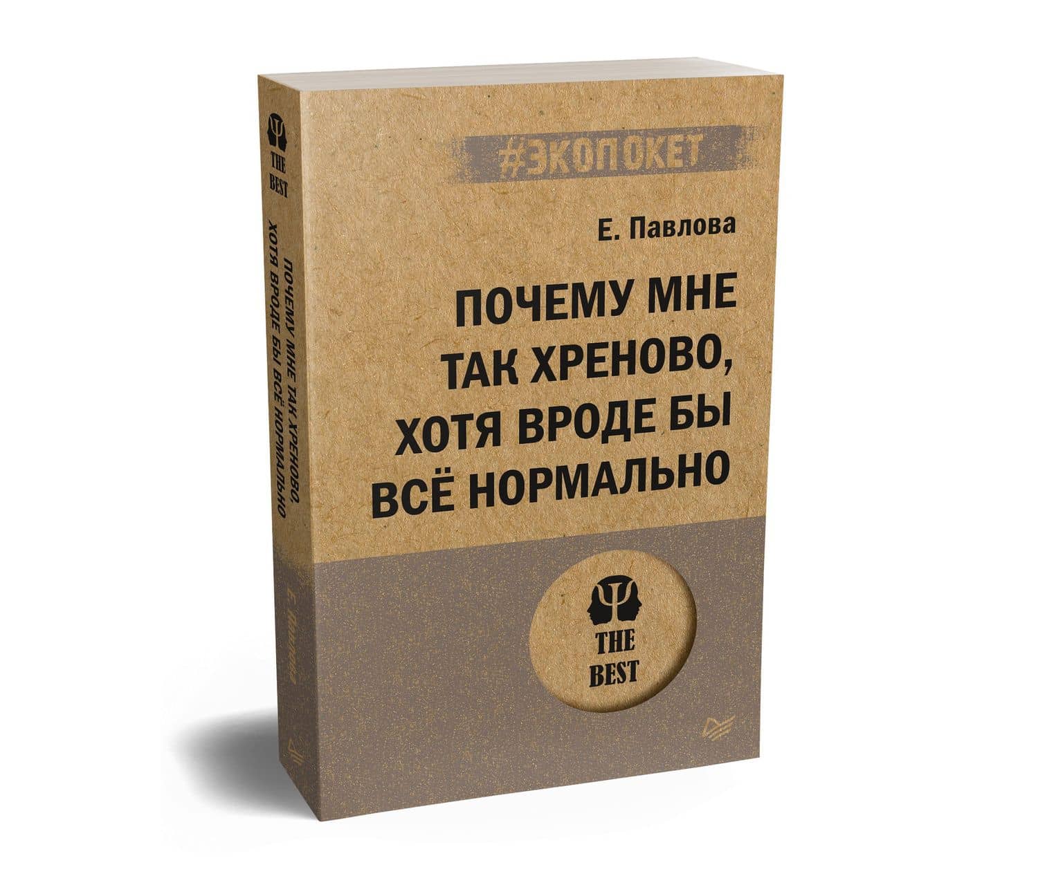 Почему мне так хреново, хотя вроде бы всё нормально (#экопокет) — Елизавета Сергеевна Павлова (2)