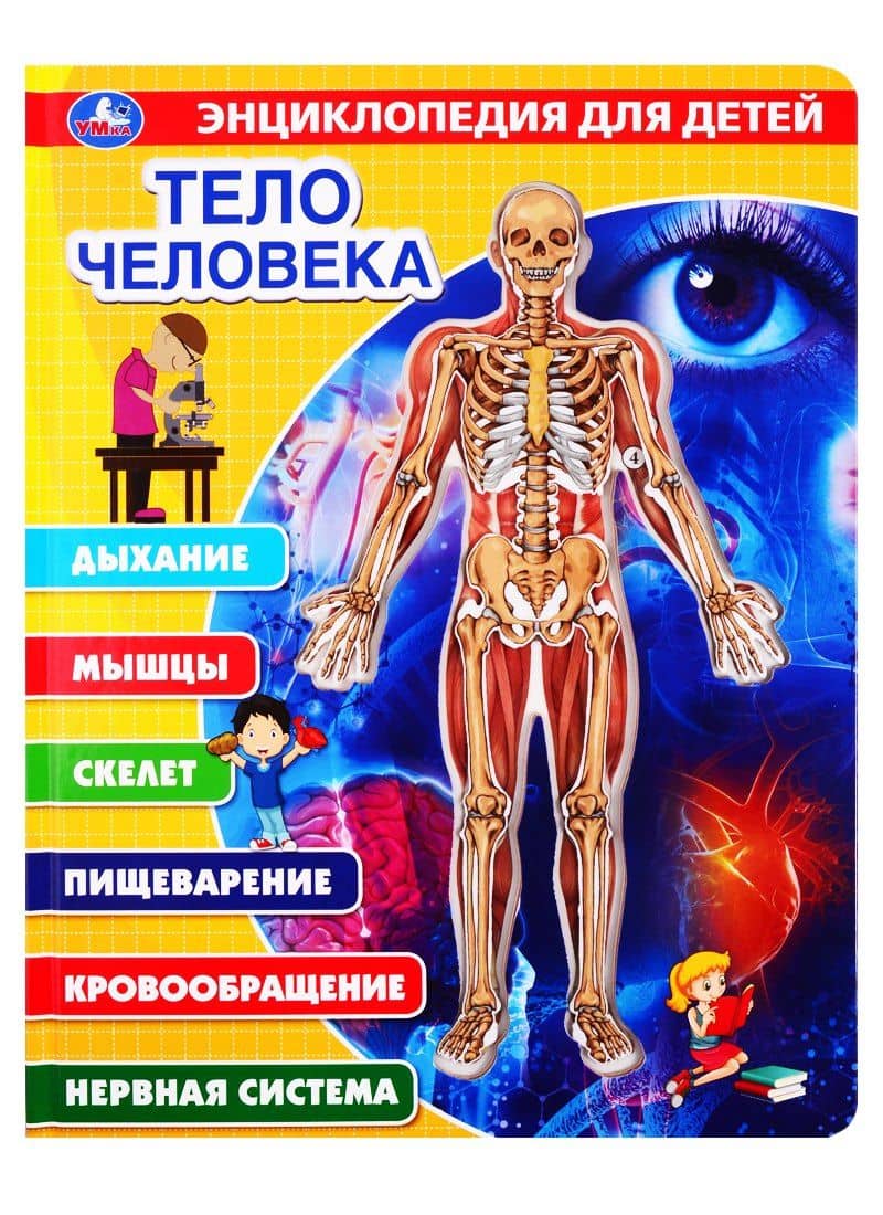 Тело человека. Энциклопедия для детей — Петр Михайлович Волцит