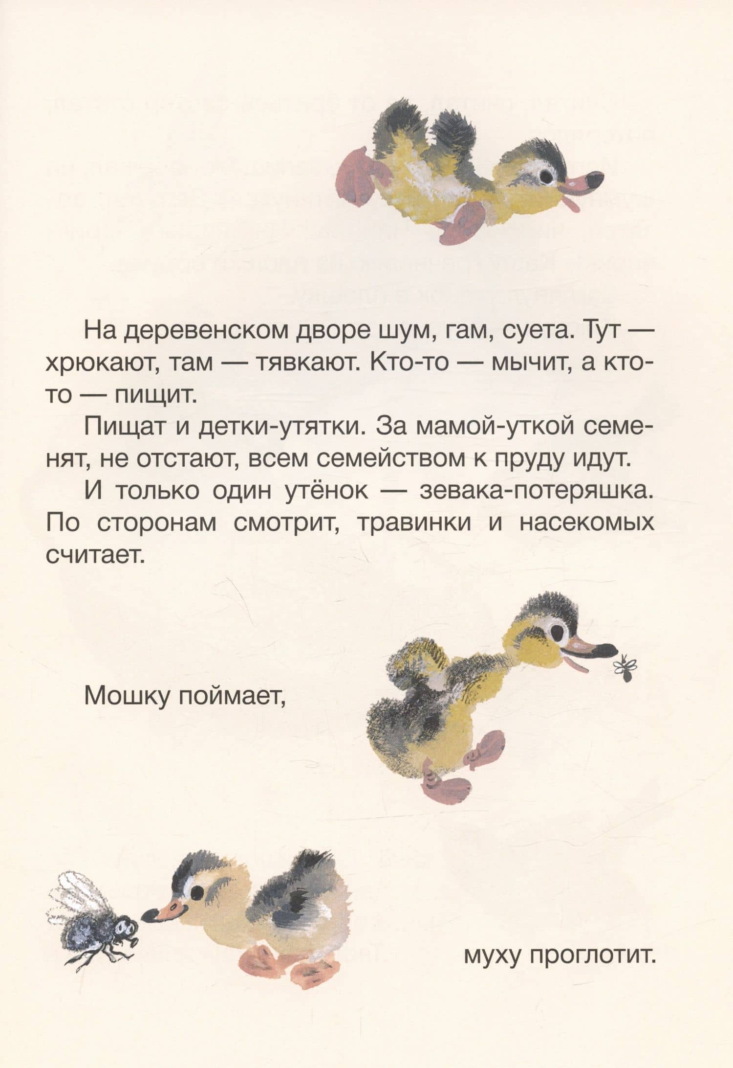 Когда утёнок вырастет? — Евгения Алексеевна Чарушина-Капустина (2)