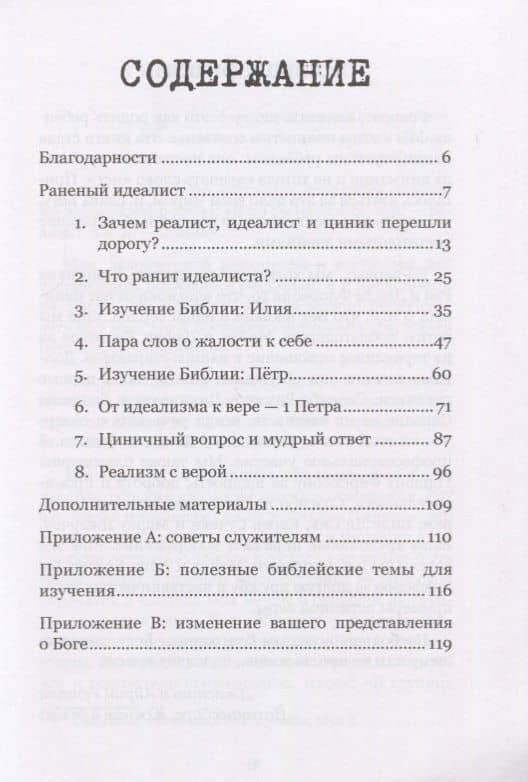 Исцеление раненого идеалиста. От цинизма к вере. Практическое руководство для христиан — Айрин Рентон (2)
