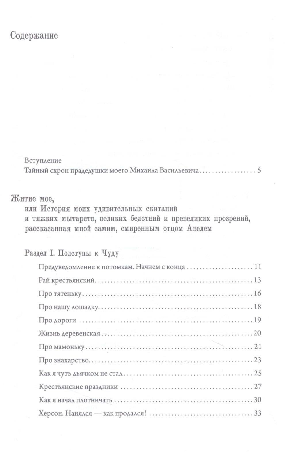 Авель. Роман с чудом — Виктор Аркадьевич Бердинских (2)