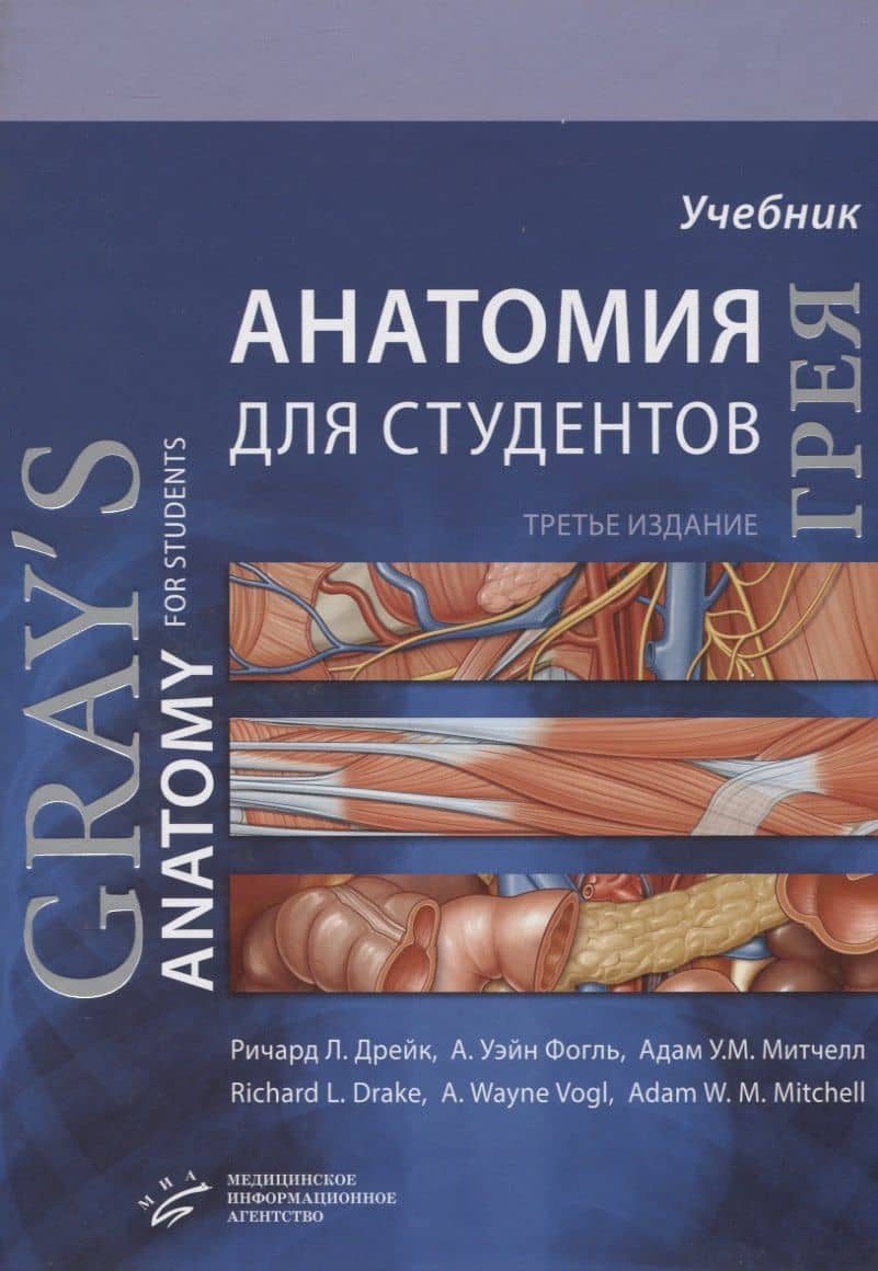 Анатомия Грея для студентов. Учебник — Ричард Л. Дрейк