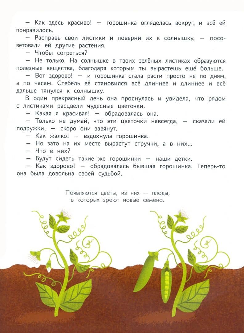 Энциклопедия для малышей в сказках. Все, что ваш ребенок должен узнать до школы — Ульева Елена Александровна (3)