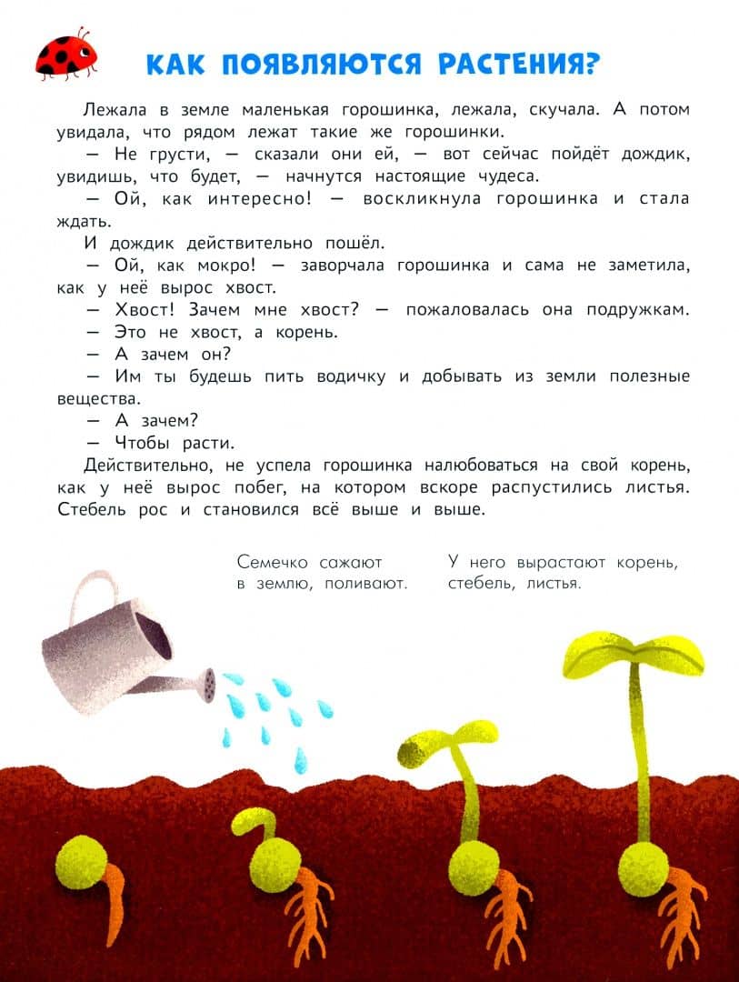 Энциклопедия для малышей в сказках. Все, что ваш ребенок должен узнать до школы — Ульева Елена Александровна (2)