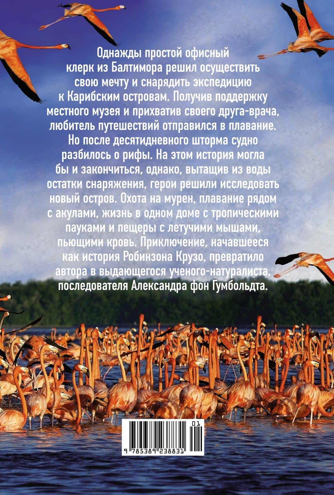 Остров тысячи тайн. Невероятная история жизни двух ученых на необитаемом острове — Джилберт Клинджел (2)