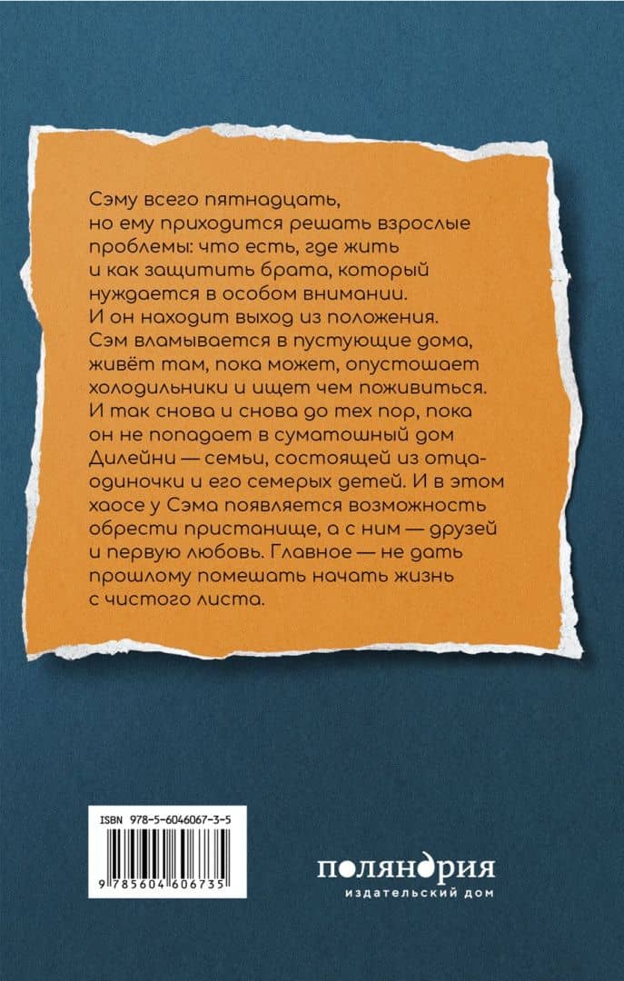 Мальчик, который крадёт дома — С. Дж. Дрюс (2)