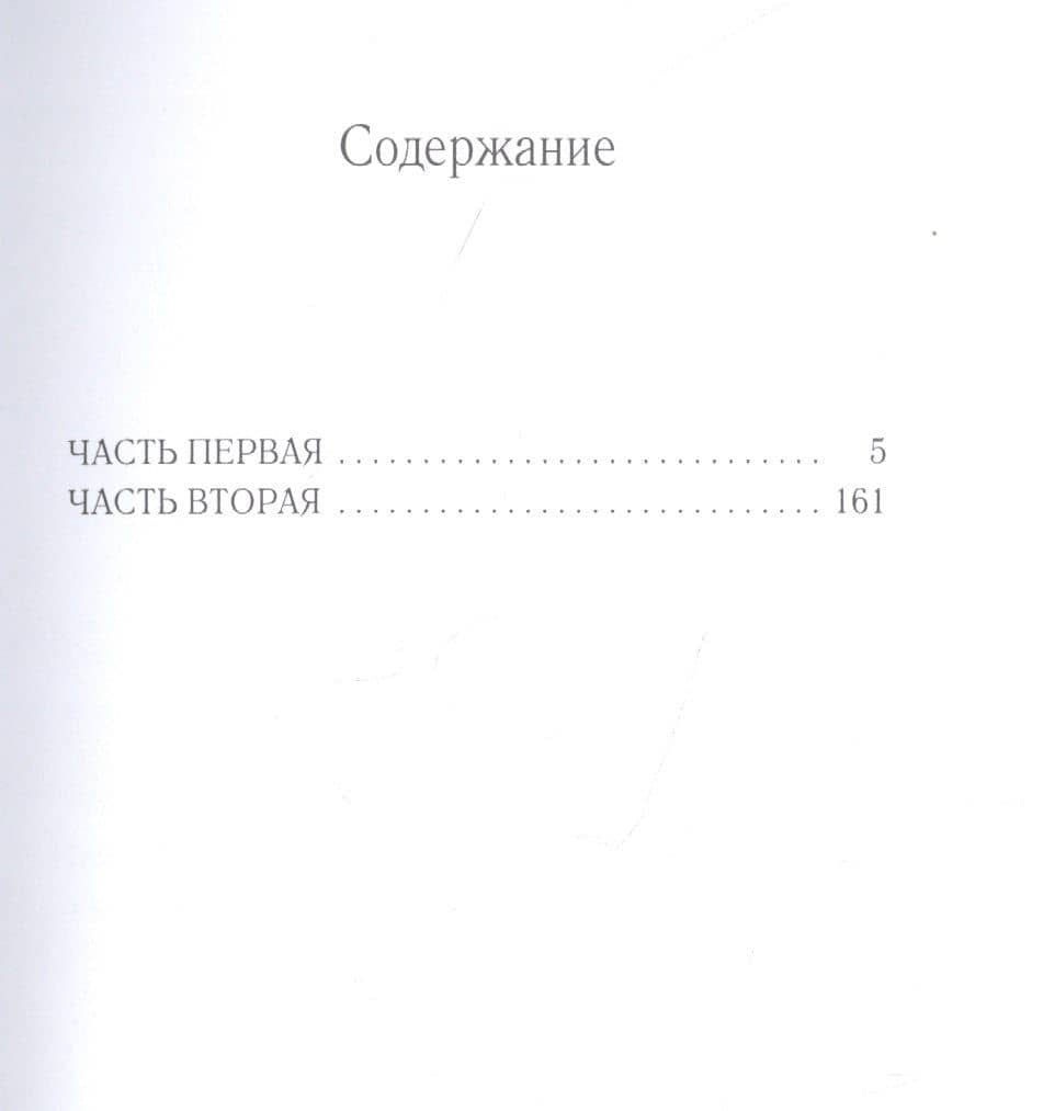 Княжна Острожская — Владимир Сергеевич Соловьев (2)