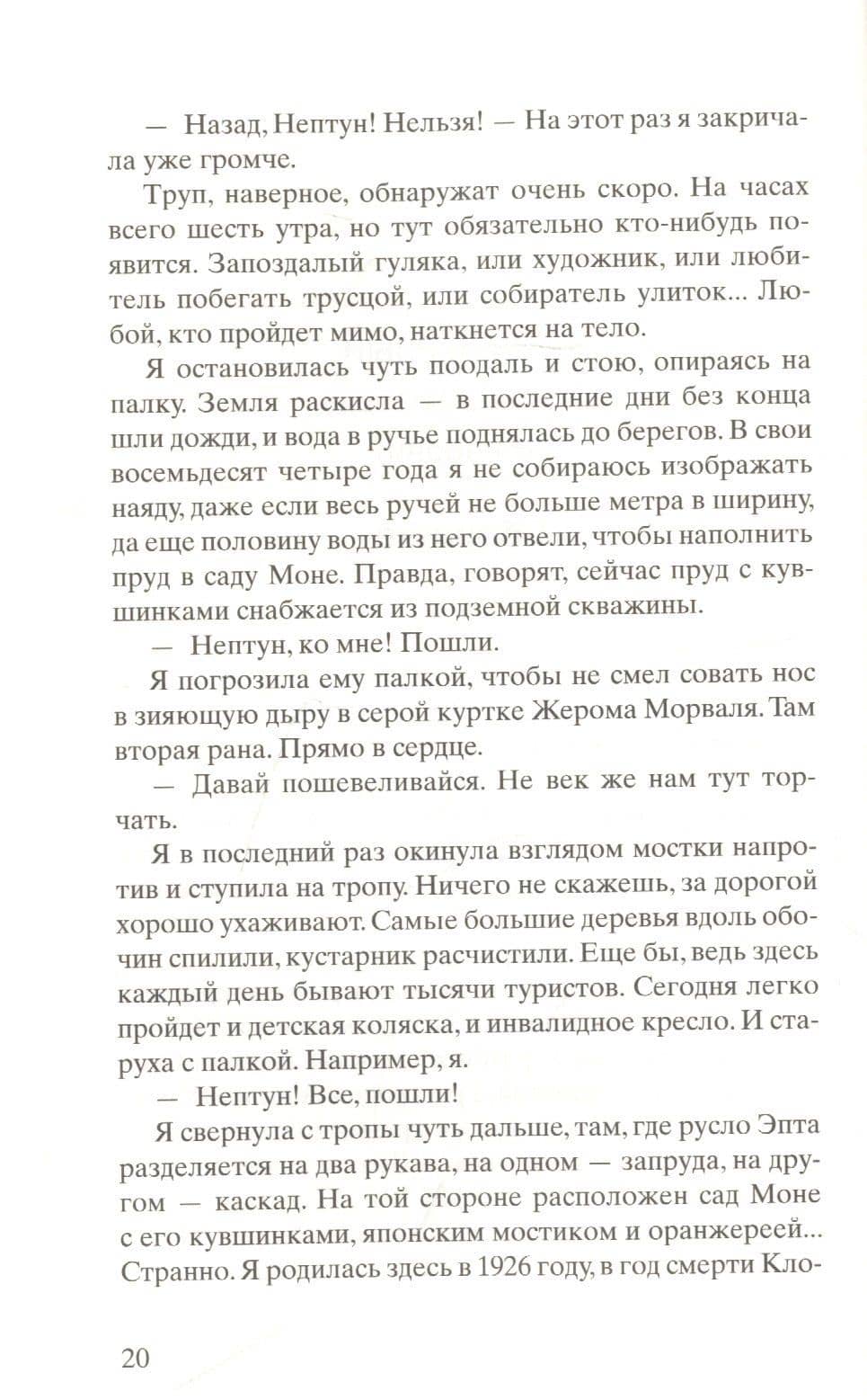 Черные кувшинки — Мишель Бюсси (3)