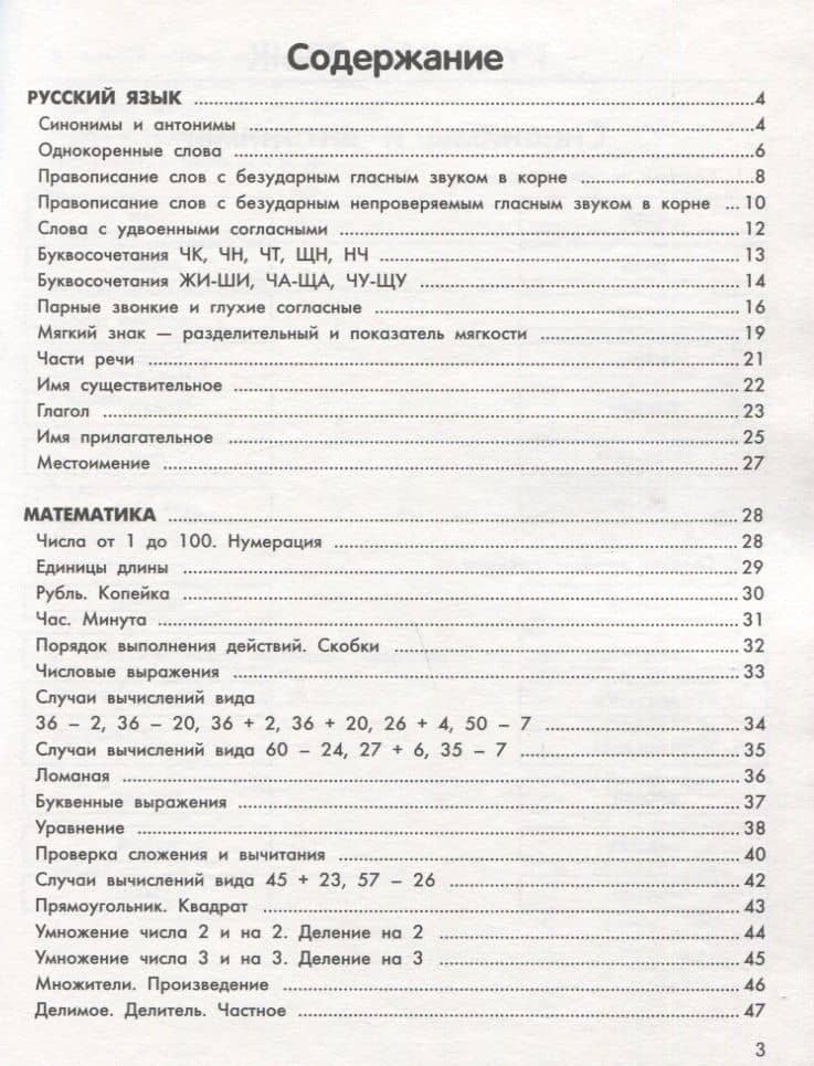 Умный школьник: тренажер-практикум: 2 класс — Мария Викторовна Буряк (2)