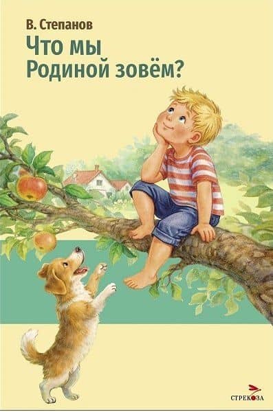 Что мы Родиной зовем? — Владимир Александрович Степанов