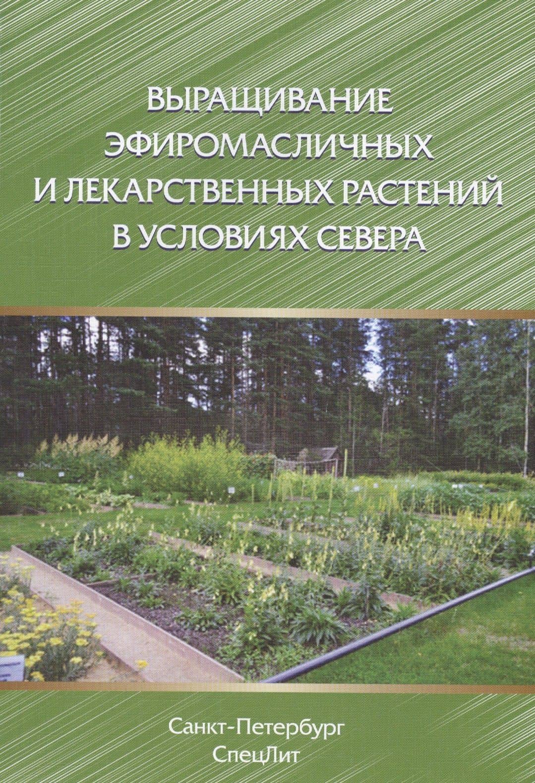 Выращивание эфиромасличных и лекарственных растений в условиях Севера