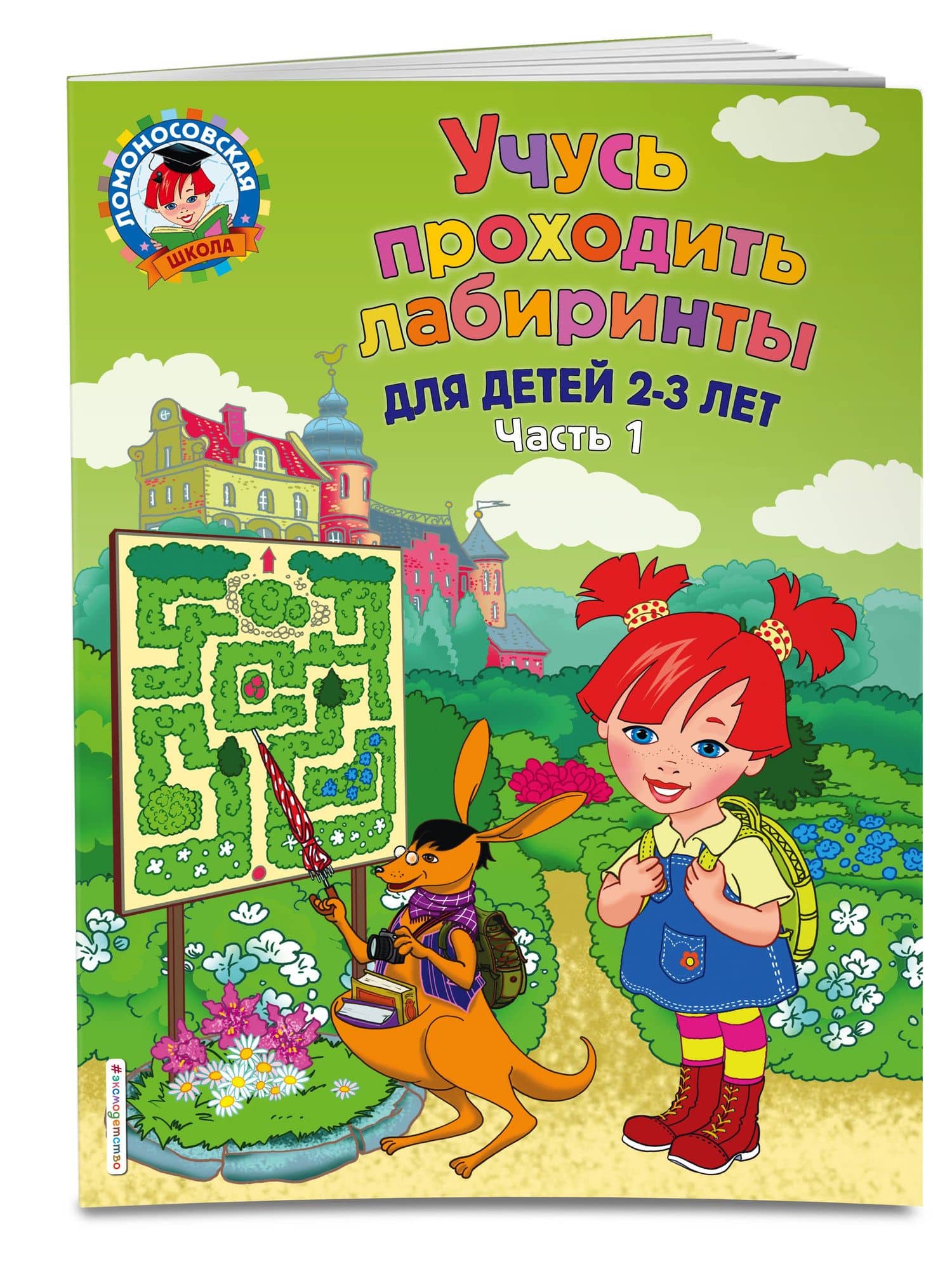 Учусь проходить лабиринты: для детей 2-3 лет. Ч 1 — Юлия Альбертовна Сафина (3)