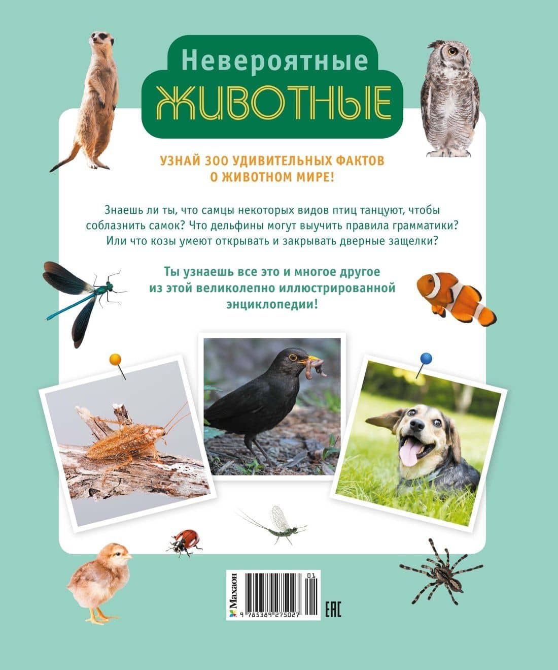 Невероятные животные — Винсент Альбуи (2)