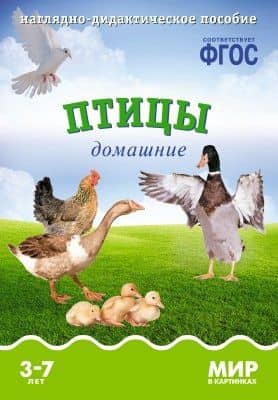 Птицы домашние: наглядно-дидактическое пособие (ФГОС) — Т. Минишева