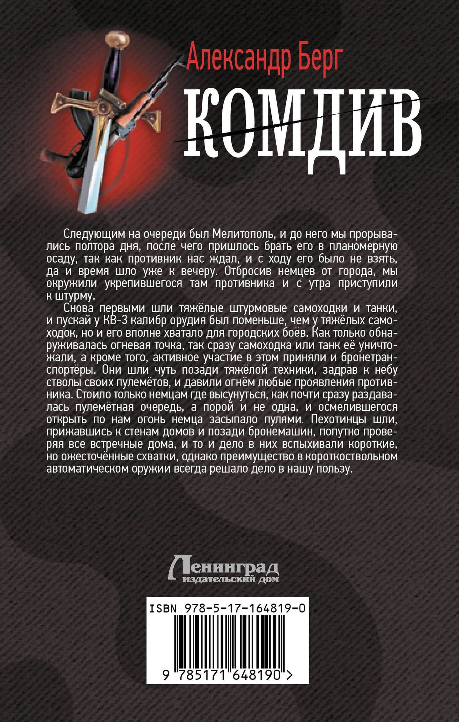 Комдив — Александр Анатольевич Берг (2)
