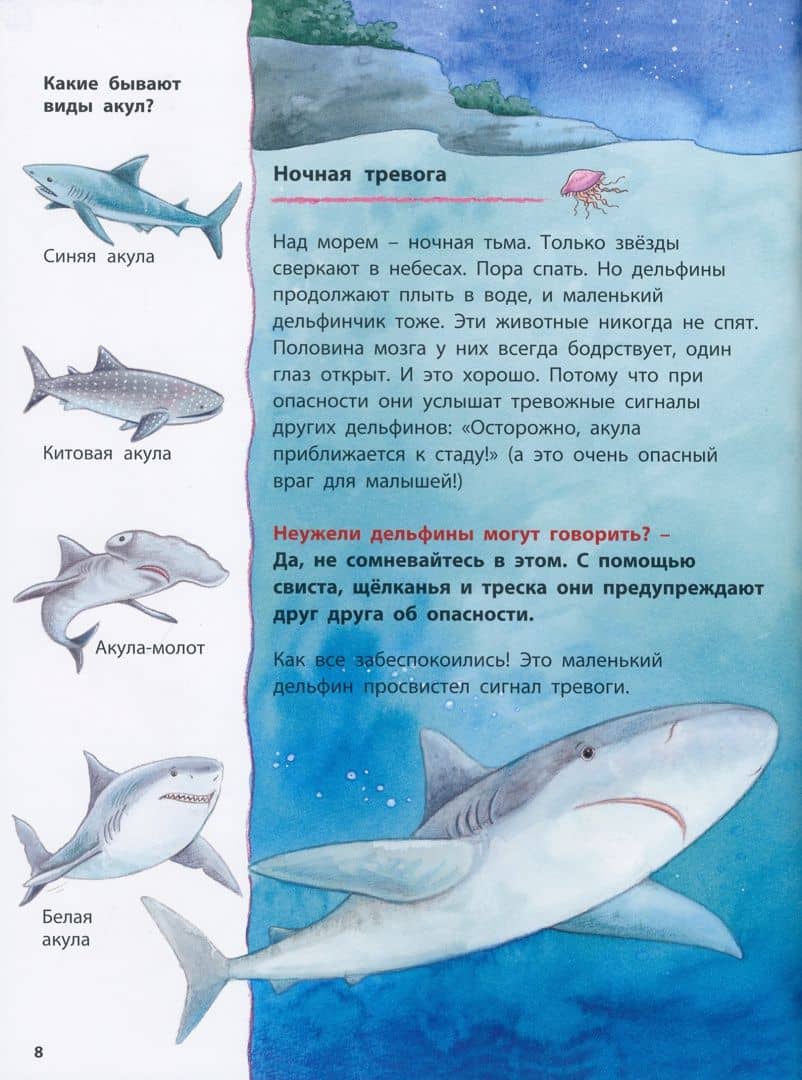 Дельфинчик и его морские соседи. Познавательные истории — Фридерун Райхенштеттер (3)