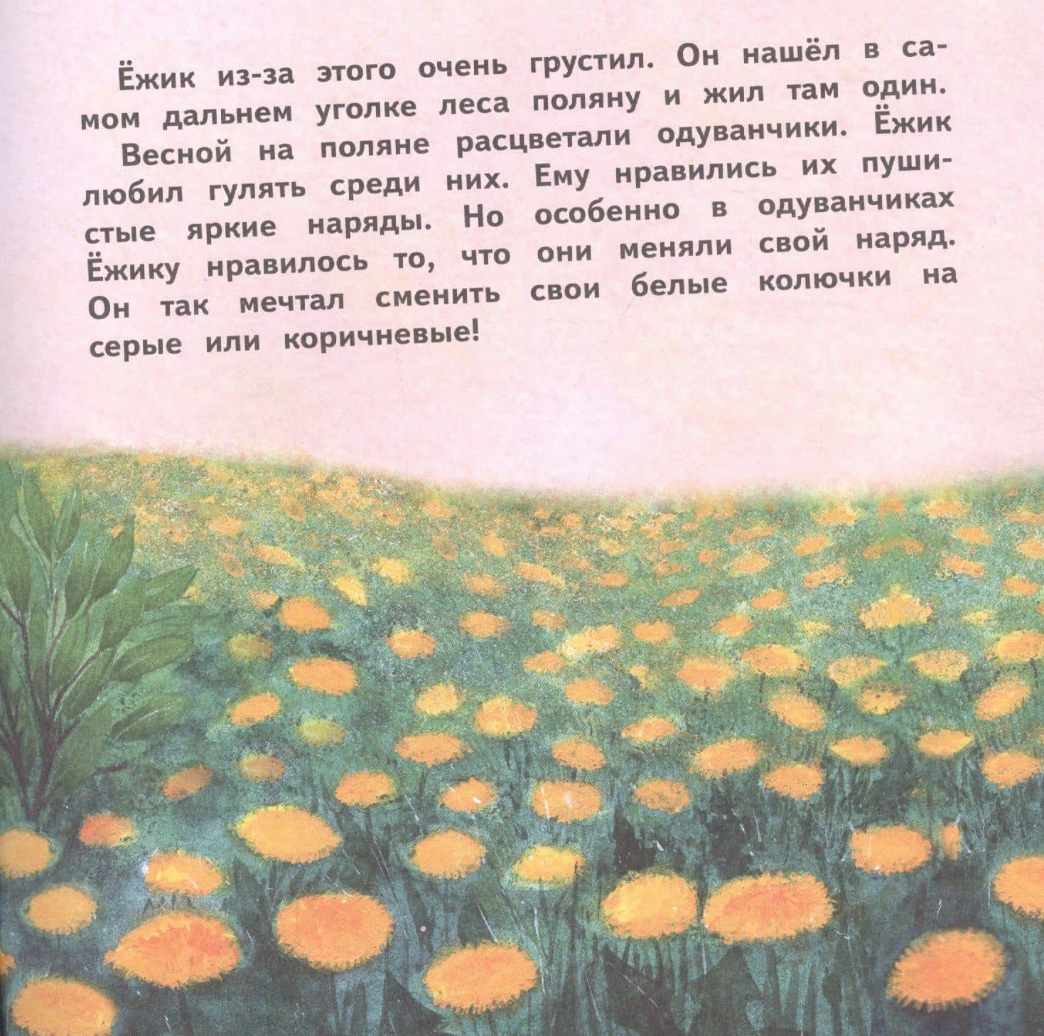 О Ежике, который думал, что он одуванчик. Сказка — Екатерина Сетунова (3)