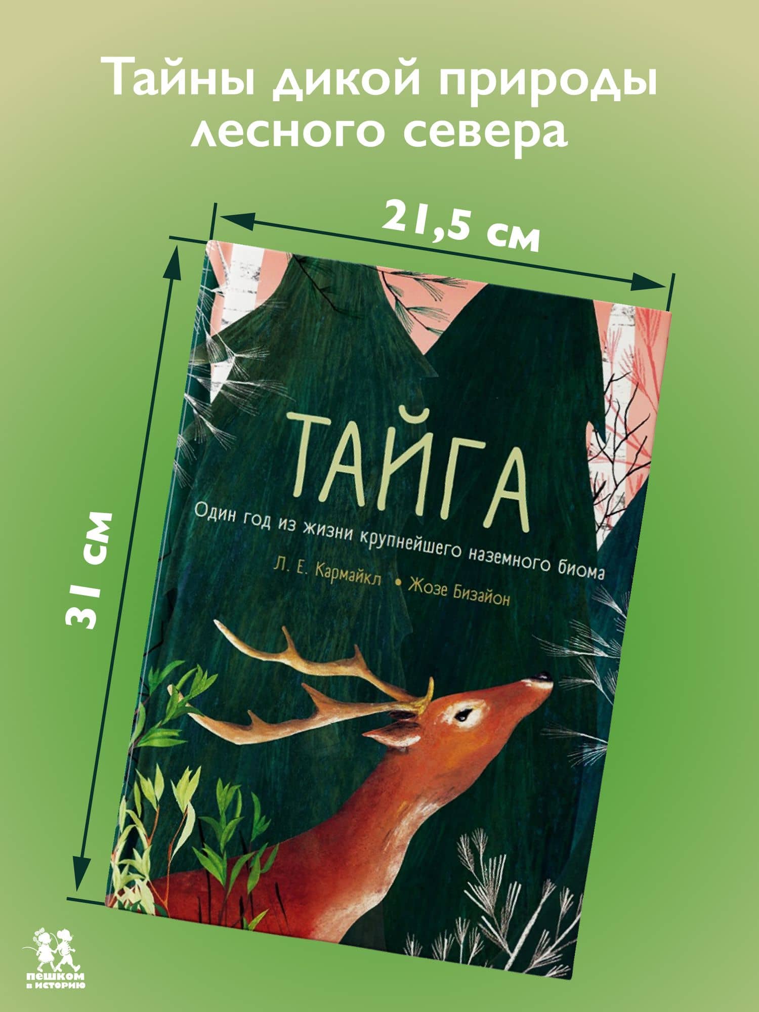 Тайга: один год из жизни крупнейшего наземного биома (2)