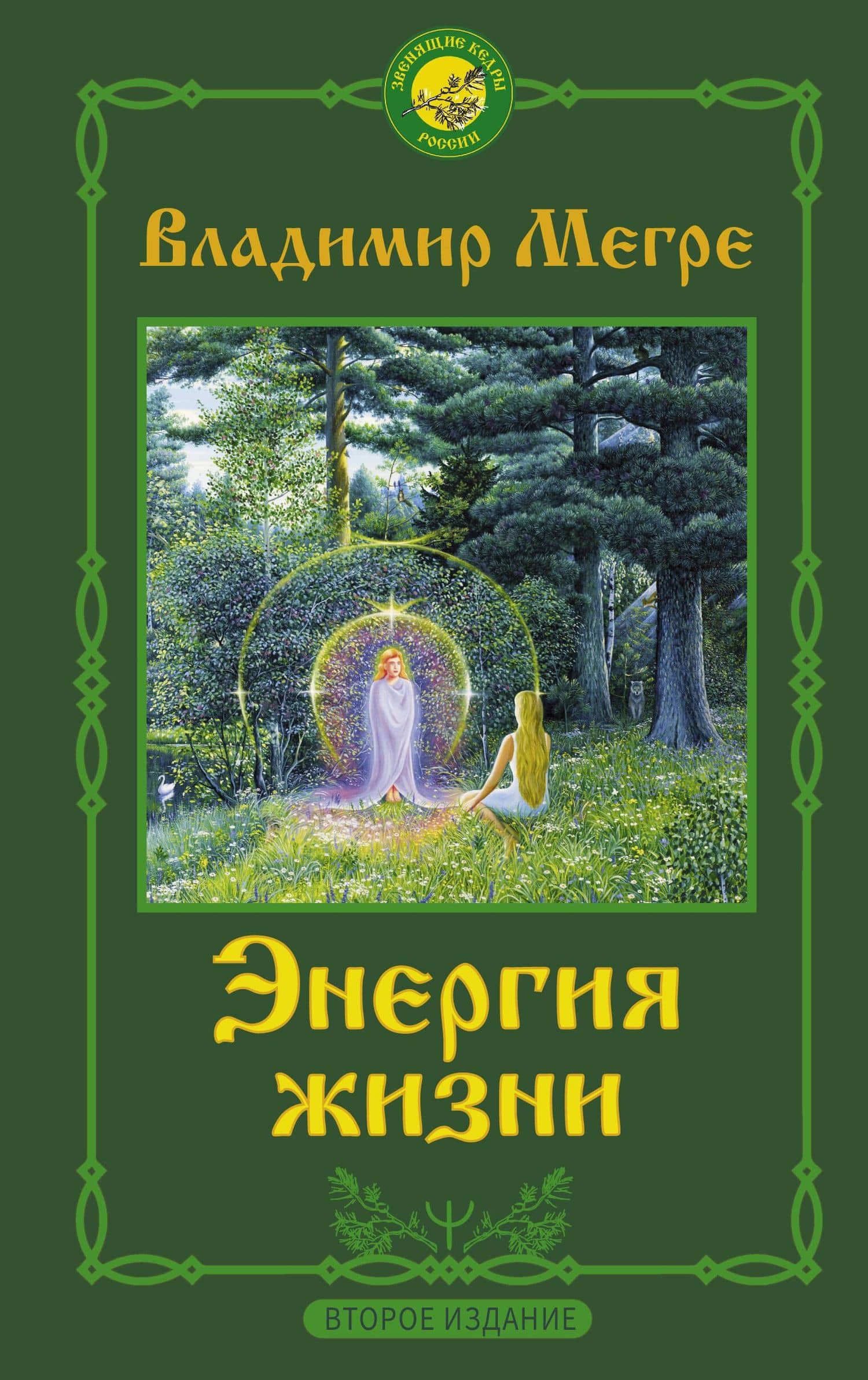 Энергия жизни. Второе издание — Владимир Николаевич Мегре