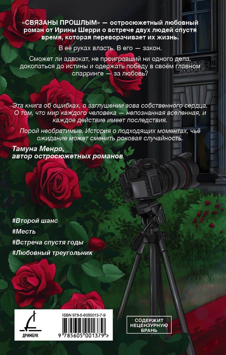 Связаны прошлым — Ирина Шерри (2)