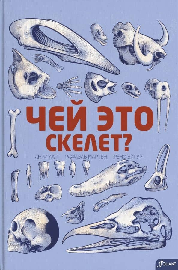 Чей это скелет? — Рено Вигур
