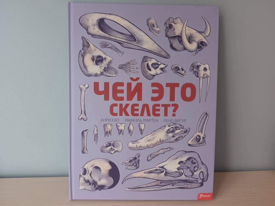 Чей это скелет? — Рено Вигур (3)