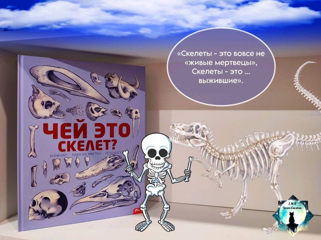 Чей это скелет? — Рено Вигур (2)