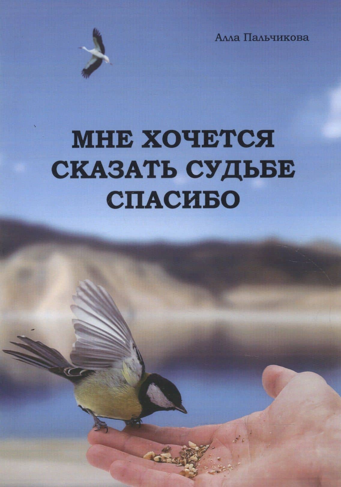 Мне хочется сказать судьбе спасибо (2001-2002, 2005-2007 гг.) — Алла Викторовна Пальчикова