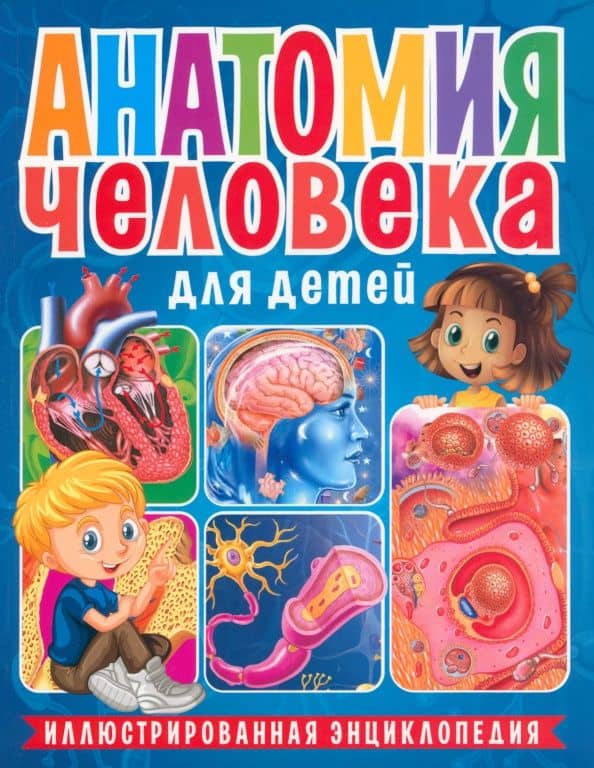 Анатомия человека для детей. Иллюстрированная энциклопедия(обложка)